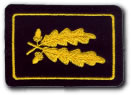 Landesbranddirektor / Landesbranddirektorin<br>LBD