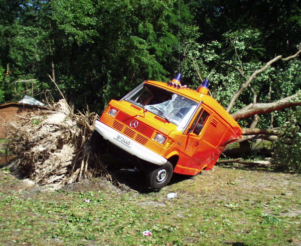 Einsatzfahrzeug unter umgestürztem Baum