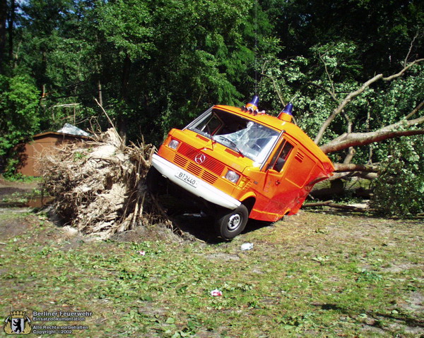 Rettungswagen unter umgestürztem Baum