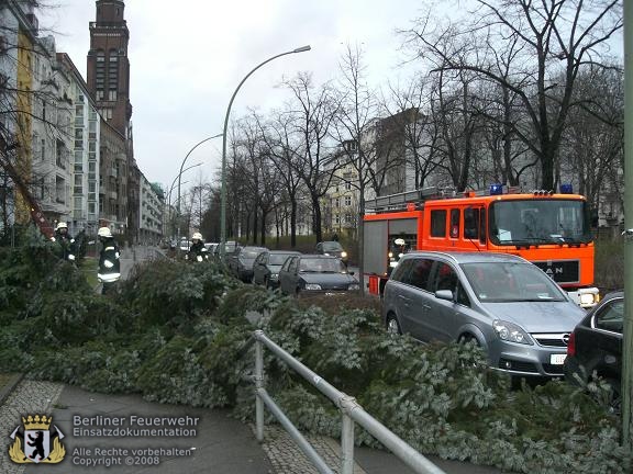 Umgestürzter Baum