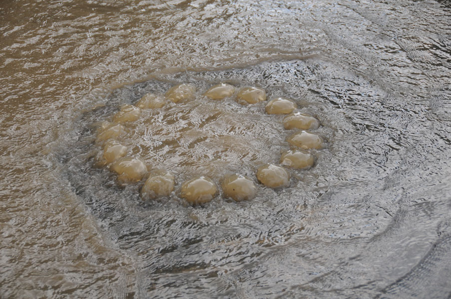 Gully drückt Wasser hoch