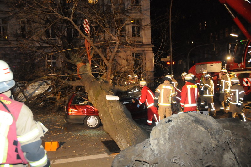 Baum wird angehoben