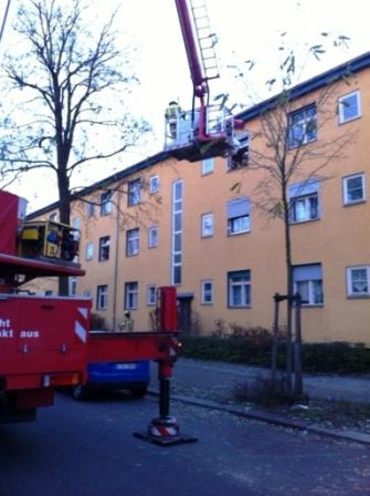 Transport mit Teleskopmast