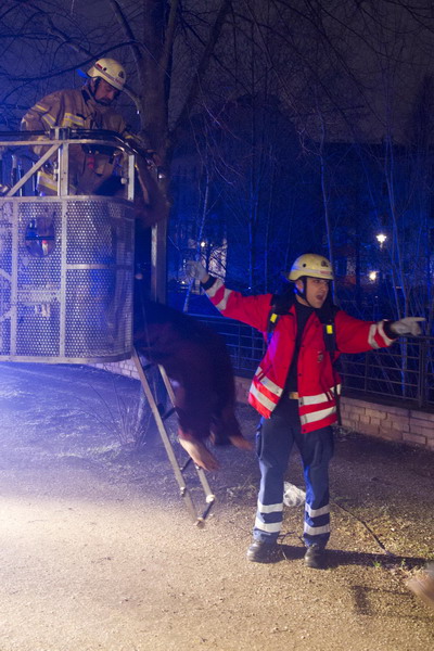 Rettung über eine Drehleiter