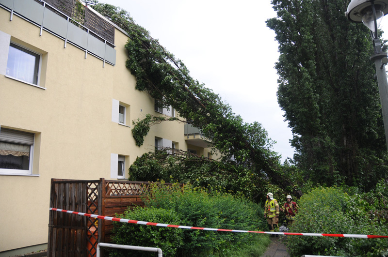 Baum stürzt auf ein Haus