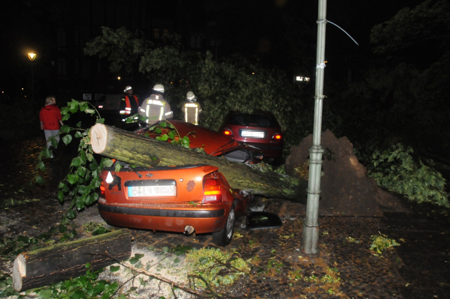 Baum auf Auto