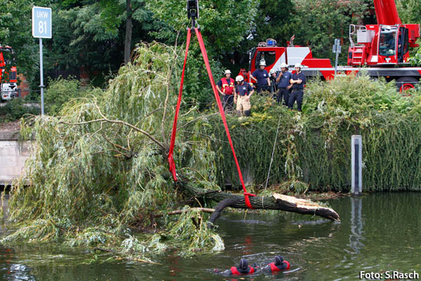 Baum wird angehoben