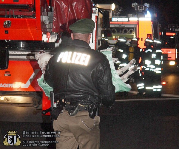 Polizist mit totem Hund