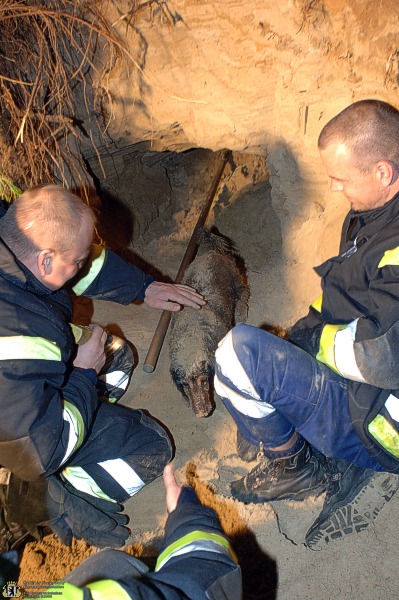 Hund wird von Feuerwehrleuten gestreichelt