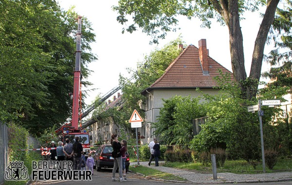 Baum auf Haus