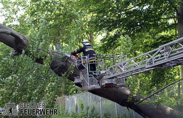 Bergung wird vorbereitet