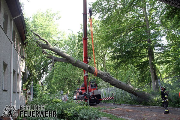 Feuerwehrkran hebt Baum