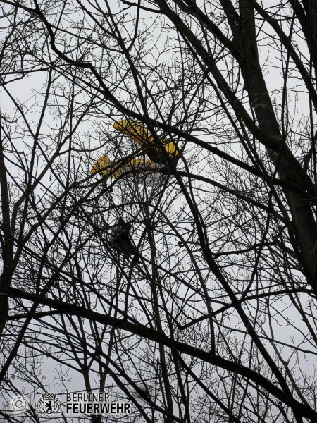 Model hängt im Baum