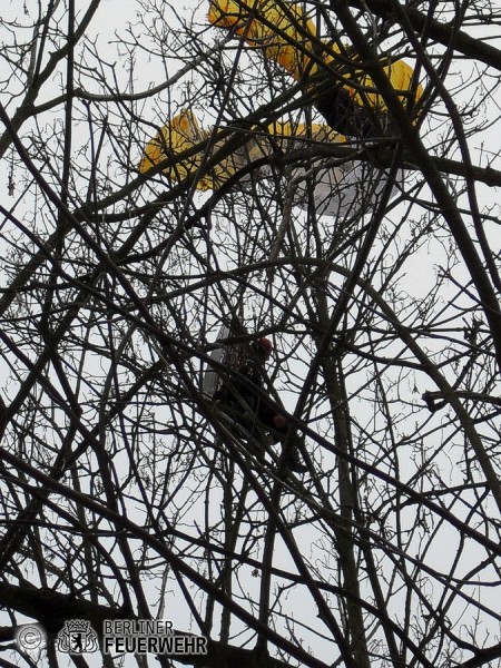 Model hängt im Baum