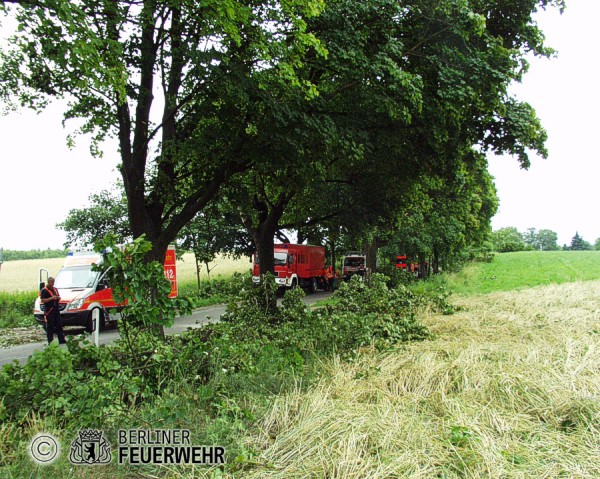 Sägearbeiten nach Unwetter