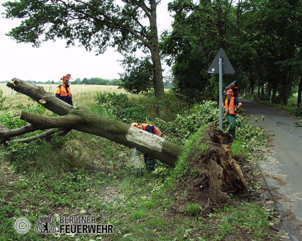 Sägearbeiten nach Unwetter