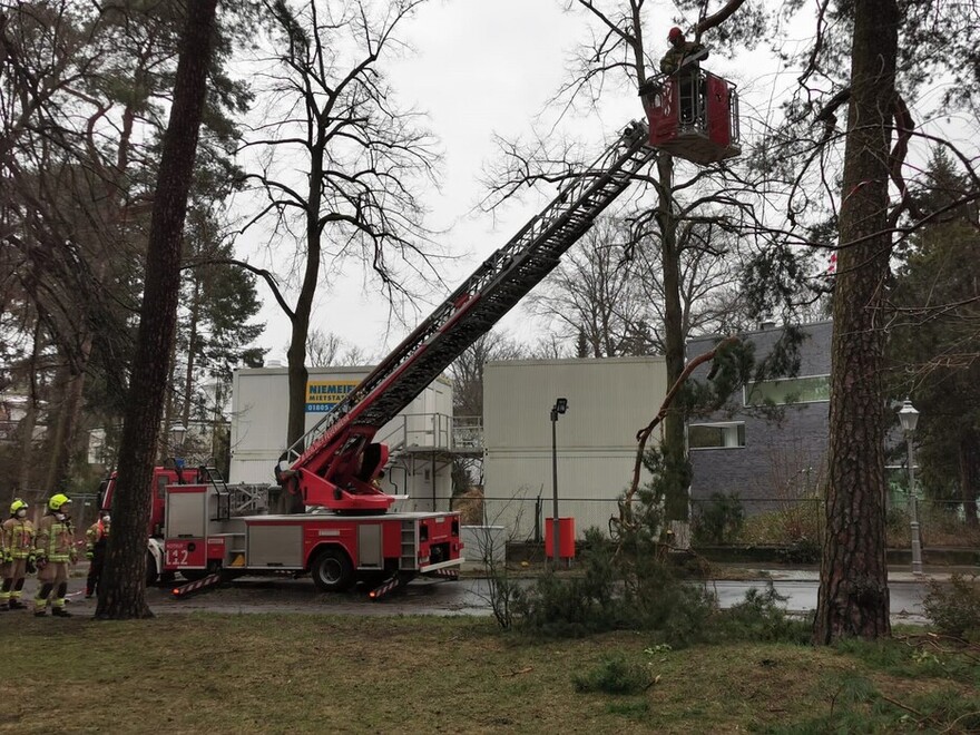 Drehleiter im Einsatz 