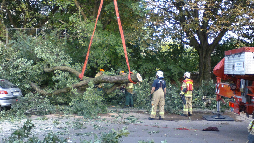 Einsatzkräfte am Baum