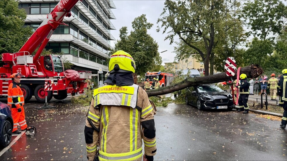 Feuerwehrkran im Einsatz bei einem umgestürzten Baum