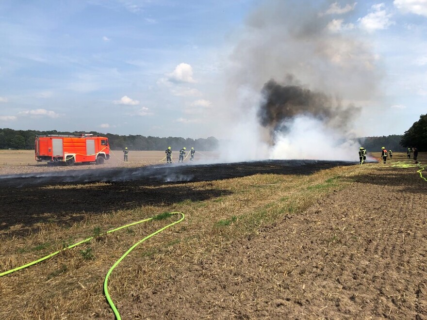 Übung Vegetationsbrandbekämpfung