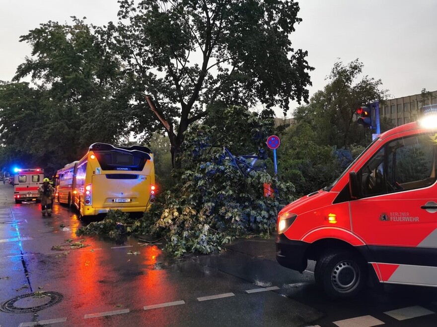 Beschädigter Bus der BVG nachdem ein Baum umstürzte
