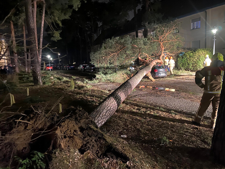 Baum auf Pkw gestürzt in Zehlendorf