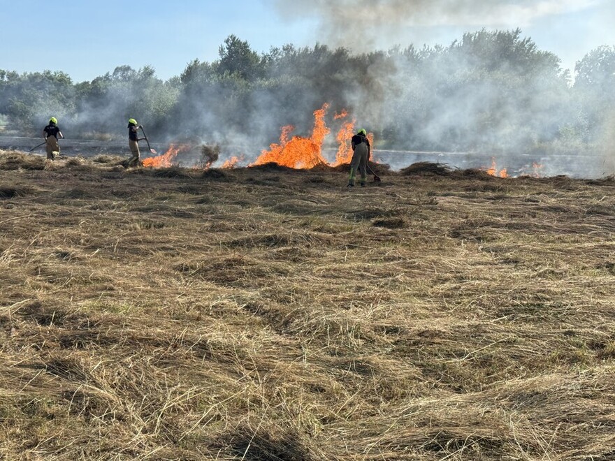Flammen bei Vegetationsbrand