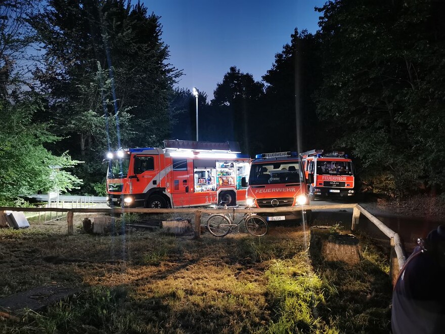 Fahrzeuge im Waldgebiet