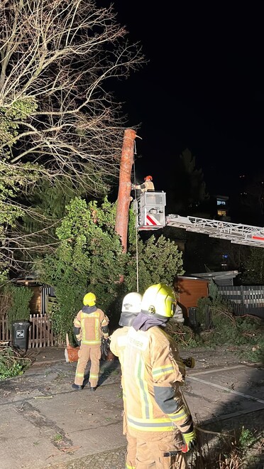 Baum wird über eine Drehleiter abgetragen