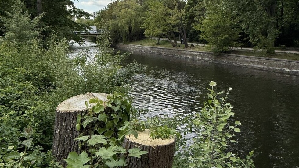 Sicht auf den Einsatzort am Landwehrkanal 