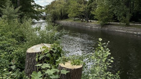 Sicht auf den Einsatzort am Landwehrkanal 