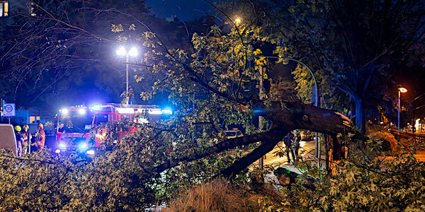 Feuerwehrleute zersägen umgestürzten Baum