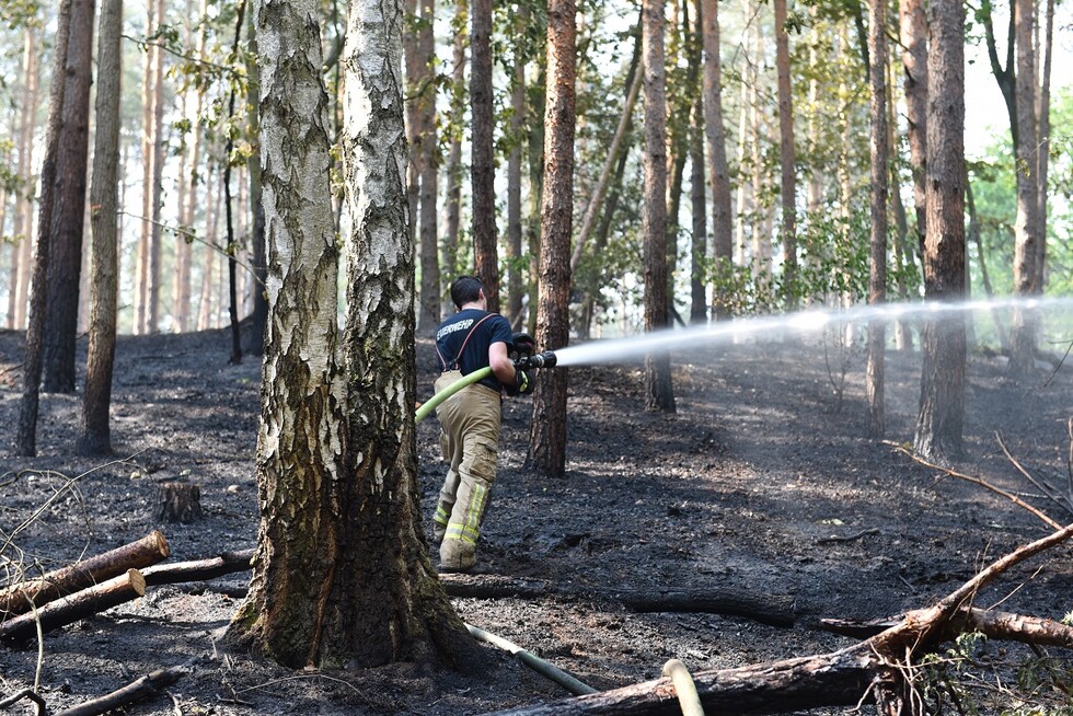 Waldbrand wird gelöscht