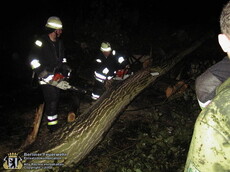 Einsatzkräfte zersägen einen umgestürzten Baum