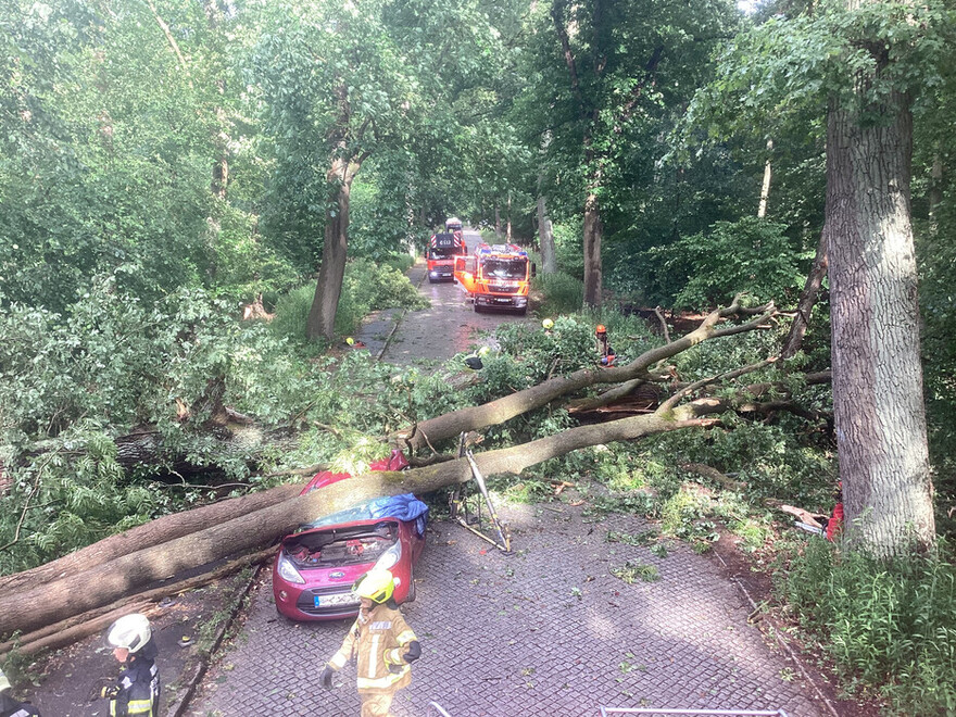 Umgestürzter Baum auf PKW in Hakenfelde