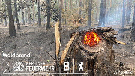 Symbolbild Waldbrand