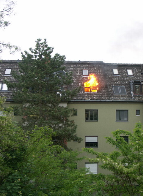 Brand-entwicklung