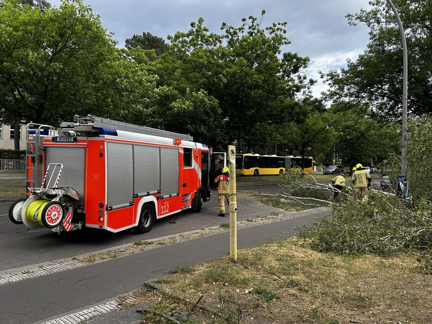 LHF im Einsatz in der Clayallee