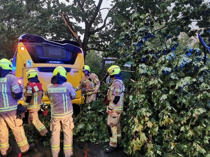 Einsatzkräfte vor einem umgestürzten Baum