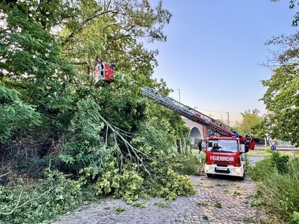 Drehleiter im Einsatz