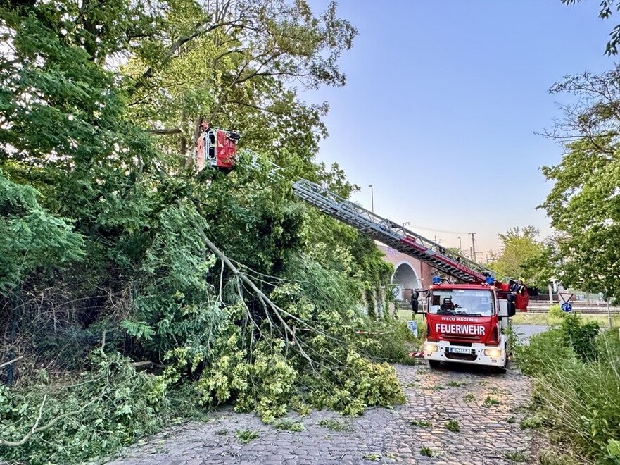 Drehleiter im Einsatz