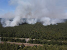 Der Waldbrand im Bereich des Sprengplatz Grunewald erfasste rund 50 Hektar Wald.