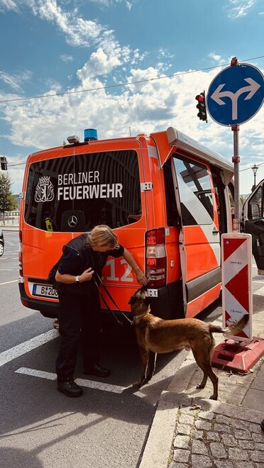 Spürhund am Fahrzeug der Feuerwehr.