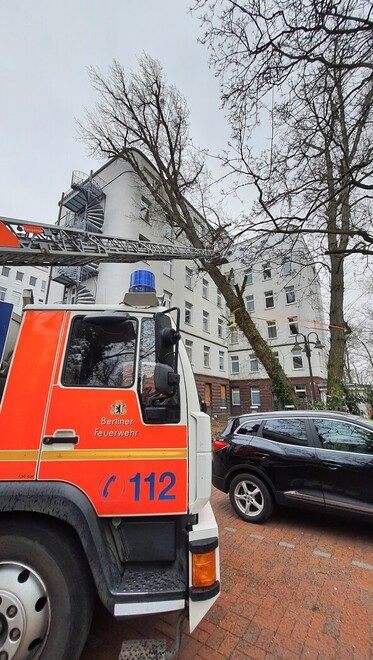 Baum in Schmargendorf wird abgetragen