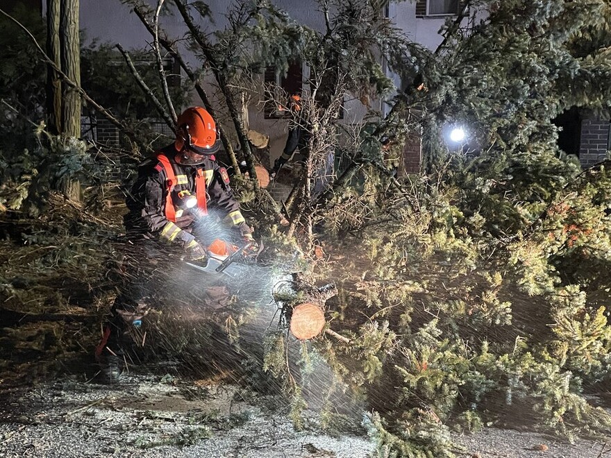 Motorkettensäge im Einsatz