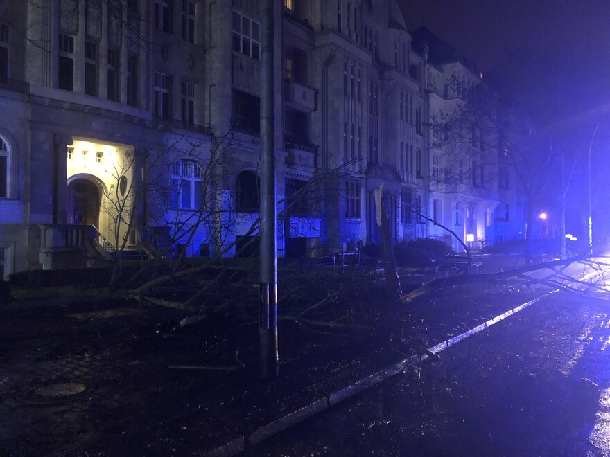 Durch den Verkehrsunfall wurde auch dieser Baum beschädigt.