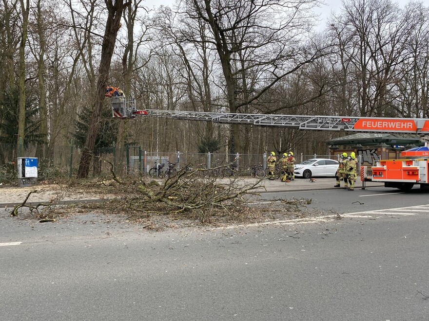 Sägearbeiten aus dem Korb der DLK