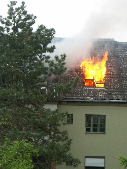 Brand-entwicklung