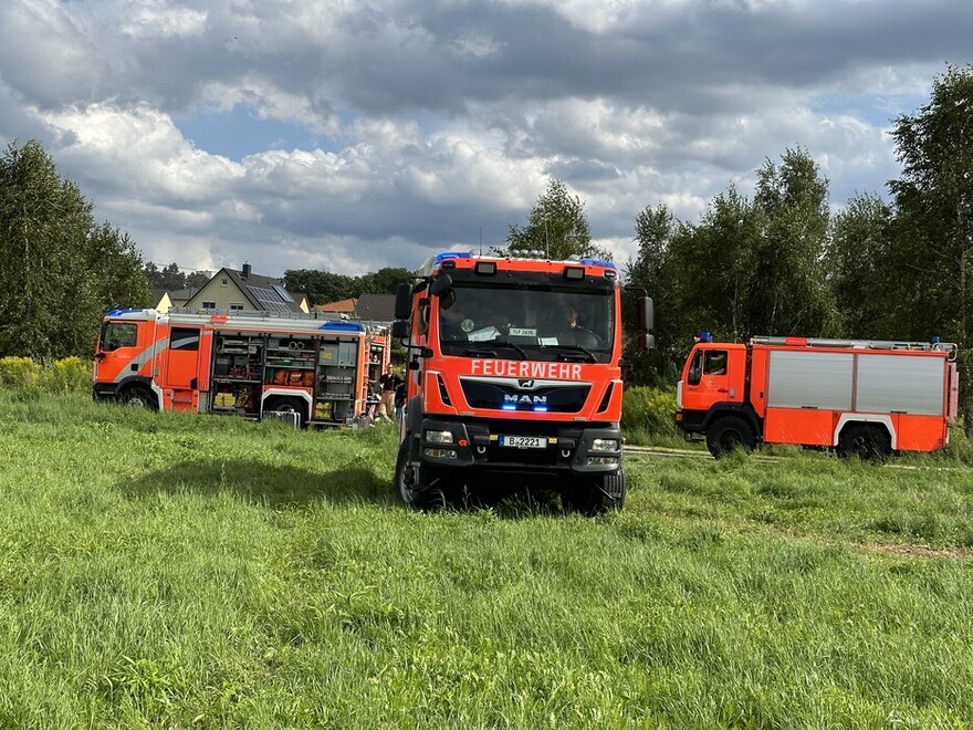 LHF und TLF