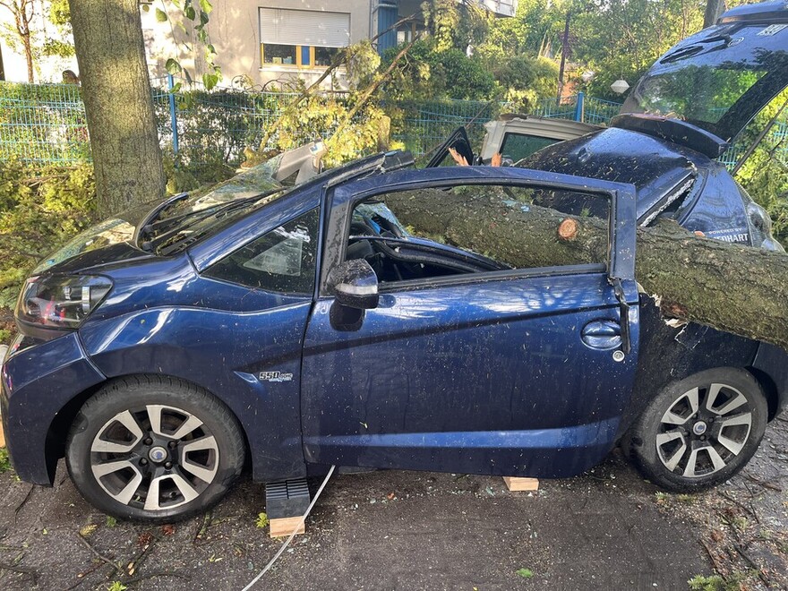 Zerstörtes Fahrzeug unter einem Baum